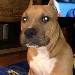 Meet your Posher, Ricky